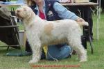 C Lucretsia.jpg