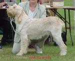 Filename=G StarsBillBailey.jpg
Filesize=56KiB
Dimensions=521x424
Date added=Sep 13, 2009 G StarsBillBailey.jpg