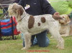 Filename=L Tyla.jpg
Filesize=68KiB
Dimensions=584x434
Date added=Sep 13, 2009 L Tyla.jpg