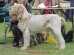 Filename=M MilleniumGold.jpg
Filesize=70KiB
Dimensions=573x425
Date added=Sep 13, 2009 M MilleniumGold.jpg