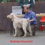 Filename=B Boscarelli.jpg
Filesize=14KiB
Dimensions=310x306
Date added=Sep 13, 2009 B Boscarelli.jpg