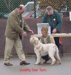 Filename=G StarTurn.jpg
Filesize=24KiB
Dimensions=368x388
Date added=Sep 13, 2009 G StarTurn.jpg
