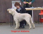 Filename=S Alabama.jpg
Filesize=14KiB
Dimensions=344x274
Date added=Sep 13, 2009 S Alabama.jpg