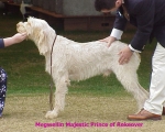 Dateiname=M MajesticPrince.jpg
Dateigröße=62KB
Abmessungen: 536x432
hinzugefügt am: 13. September 2009 M MajesticPrince.jpg