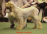 Filename=A Losanna.jpg
Filesize=46KiB
Dimensions=456x338
Date added=Sep 13, 2009 A Losanna.jpg