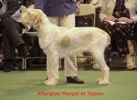 Filename=A Margot.jpg
Filesize=54KiB
Dimensions=512x376
Date added=Sep 13, 2009 A Margot.jpg