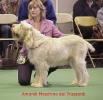 Filename=A Moschino.jpg
Filesize=55KiB
Dimensions=454x440
Date added=Sep 13, 2009 A Moschino.jpg