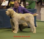 Filename=B Boscarelli.jpg
Filesize=51KiB
Dimensions=460x406
Date added=Sep 13, 2009 B Boscarelli.jpg