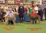 Filename=BOB.JPG
Filesize=57KiB
Dimensions=492x356
Date added=Sep 13, 2009 BOB.JPG