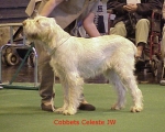 Dateiname=C Celeste.jpg
Dateigröße=51KB
Abmessungen: 474x382
hinzugefügt am: 13. September 2009 C Celeste.jpg
