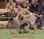 Nom du fichier=C HarryHoudini.jpg
Taille du fichier=50Ko
Dimensions : 416x370
Ajouté le : 13 Septembre 2009 C HarryHoudini.jpg