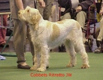 Dateiname=C Ritratto.jpg
Dateigröße=45KB
Abmessungen: 446x350
hinzugefügt am: 13. September 2009 C Ritratto.jpg