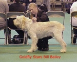 Dateiname=G StarsBillBailey.jpg
Dateigröße=39KB
Abmessungen: 392x318
hinzugefügt am: 13. September 2009 G StarsBillBailey.jpg