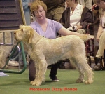 Nom du fichier=M DizzyBlonde.jpg
Taille du fichier=58Ko
Dimensions : 472x422
Ajouté le : 13 Septembre 2009 M DizzyBlonde.jpg