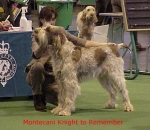 Nom du fichier=M Knight.jpg
Taille du fichier=49Ko
Dimensions : 428x372
Ajouté le : 13 Septembre 2009 M Knight.jpg