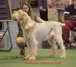 Filename=M MilleniumGold.jpg
Filesize=48KiB
Dimensions=488x428
Date added=Sep 13, 2009 M MilleniumGold.jpg