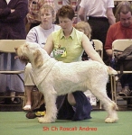 Filename=R Andreo.jpg
Filesize=66KiB
Dimensions=470x480
Date added=Sep 13, 2009 R Andreo.jpg