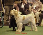 Filename=R Classico.jpg
Filesize=65KiB
Dimensions=522x430
Date added=Sep 13, 2009 R Classico.jpg