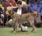 Filename=R Grigio.jpg
Filesize=68KiB
Dimensions=518x442
Date added=Sep 13, 2009 R Grigio.jpg