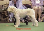 Dateiname=S Alabama.jpg
Dateigröße=51KB
Abmessungen: 492x346
hinzugefügt am: 13. September 2009 S Alabama.jpg