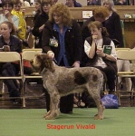 Dateiname=S Vivaldi.jpg
Dateigröße=55KB
Abmessungen: 410x412
hinzugefügt am: 13. September 2009 S Vivaldi.jpg