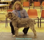 Filename=A Stregone.jpg
Filesize=68KiB
Dimensions=471x436
Date added=Sep 13, 2009 A Stregone.jpg