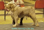 Filename=G DancingInTheSky.jpg
Filesize=40KiB
Dimensions=421x293
Date added=Sep 13, 2009 G DancingInTheSky.jpg