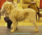 Nom du fichier=H CalamityJane.jpg
Taille du fichier=58Ko
Dimensions : 484x403
Ajouté le : 13 Septembre 2009 H CalamityJane.jpg