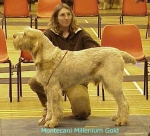 Filename=M MilleniumGold.jpg
Filesize=49KiB
Dimensions=398x363
Date added=Sep 13, 2009 M MilleniumGold.jpg