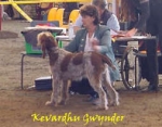 Filename=K Gwynder.jpg
Filesize=11KiB
Dimensions=253x199
Date added=Sep 13, 2009 K Gwynder.jpg