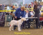 Filename=W Devine.jpg
Filesize=22KiB
Dimensions=328x265
Date added=Sep 13, 2009 W Devine.jpg