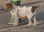 Filename=K Gwithyen.jpg
Filesize=20KiB
Dimensions=554x406
Date added=Sep 13, 2009 K Gwithyen.jpg