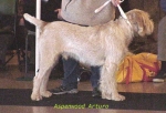 Filename=A Arturo.jpg
Filesize=48KiB
Dimensions=469x322
Date added=Sep 13, 2009 A Arturo.jpg
