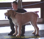 Filename=A Ashworth.jpg
Filesize=23KiB
Dimensions=468x416
Date added=Sep 13, 2009 A Ashworth.jpg