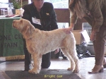 Filename=B Gem.jpg
Filesize=82KiB
Dimensions=640x480
Date added=Sep 13, 2009 B Gem.jpg