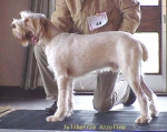 Nom du fichier=J Azzolino.jpg
Taille du fichier=68Ko
Dimensions : 551x438
Ajouté le : 13 Septembre 2009 J Azzolino.jpg