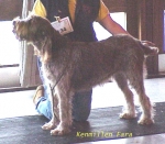 Dateiname=K Fara.jpg
Dateigröße=51KB
Abmessungen: 447x391
hinzugefügt am: 13. September 2009 K Fara.jpg