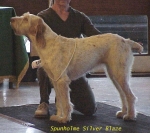 Filename=S SilverBlaze.jpg
Filesize=64KiB
Dimensions=503x446
Date added=Sep 13, 2009 S SilverBlaze.jpg