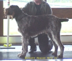 Filename=W HeavenHelpUs.jpg
Filesize=57KiB
Dimensions=530x446
Date added=Sep 13, 2009 W HeavenHelpUs.jpg