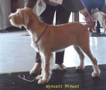 Filename=W Minuet.jpg
Filesize=43KiB
Dimensions=484x411
Date added=Sep 13, 2009 W Minuet.jpg