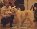 Filename=H CalamityJane.jpg
Filesize=62KiB
Dimensions=558x442
Date added=Sep 13, 2009 H CalamityJane.jpg