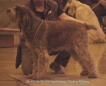 Filename=H Gladys.jpg
Filesize=62KiB
Dimensions=570x466
Date added=Sep 13, 2009 H Gladys.jpg