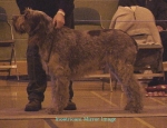 Filename=I MirrorImage.jpg
Filesize=52KiB
Dimensions=522x402
Date added=Sep 13, 2009 I MirrorImage.jpg
