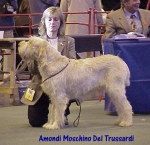 Filename=A Moschino.jpg
Filesize=61KiB
Dimensions=470x456
Date added=Sep 13, 2009 A Moschino.jpg
