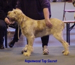Filename=A TopSecret.jpg
Filesize=53KiB
Dimensions=502x432
Date added=Sep 13, 2009 A TopSecret.jpg