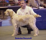 Filename=B Boscarelli.jpg
Filesize=64KiB
Dimensions=518x454
Date added=Sep 13, 2009 B Boscarelli.jpg