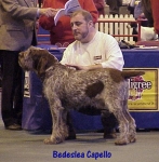 Filename=B Capello.jpg
Filesize=58KiB
Dimensions=434x442
Date added=Sep 13, 2009 B Capello.jpg