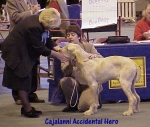 Filename=C Accidental Hero.jpg
Filesize=61KiB
Dimensions=494x420
Date added=Sep 13, 2009 C Accidental Hero.jpg