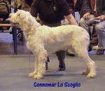 Filename=C LoScoglio.jpg
Filesize=47KiB
Dimensions=436x380
Date added=Sep 13, 2009 C LoScoglio.jpg