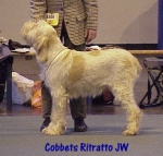 Filename=C Ritratto.jpg
Filesize=38KiB
Dimensions=372x356
Date added=Sep 13, 2009 C Ritratto.jpg